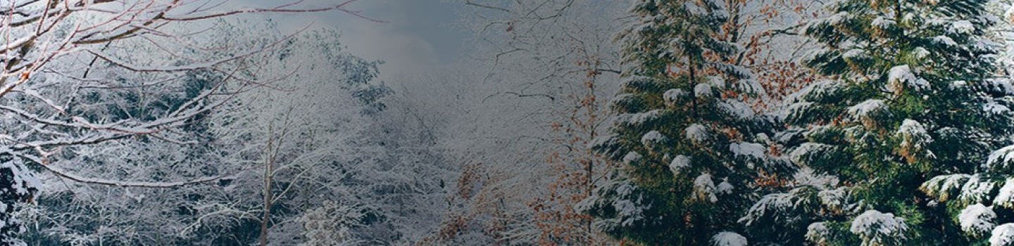 7 E-Liquids to Trick You Into Feeling Warm This Winter!