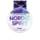 Nordic Spirit Frosty Berry Nic Pouches