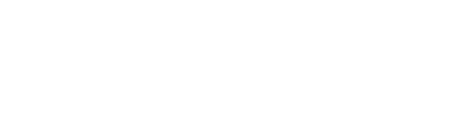 Lost Mary nic salts logo