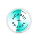 Nordic Spirit Spearmint Nic Pouches